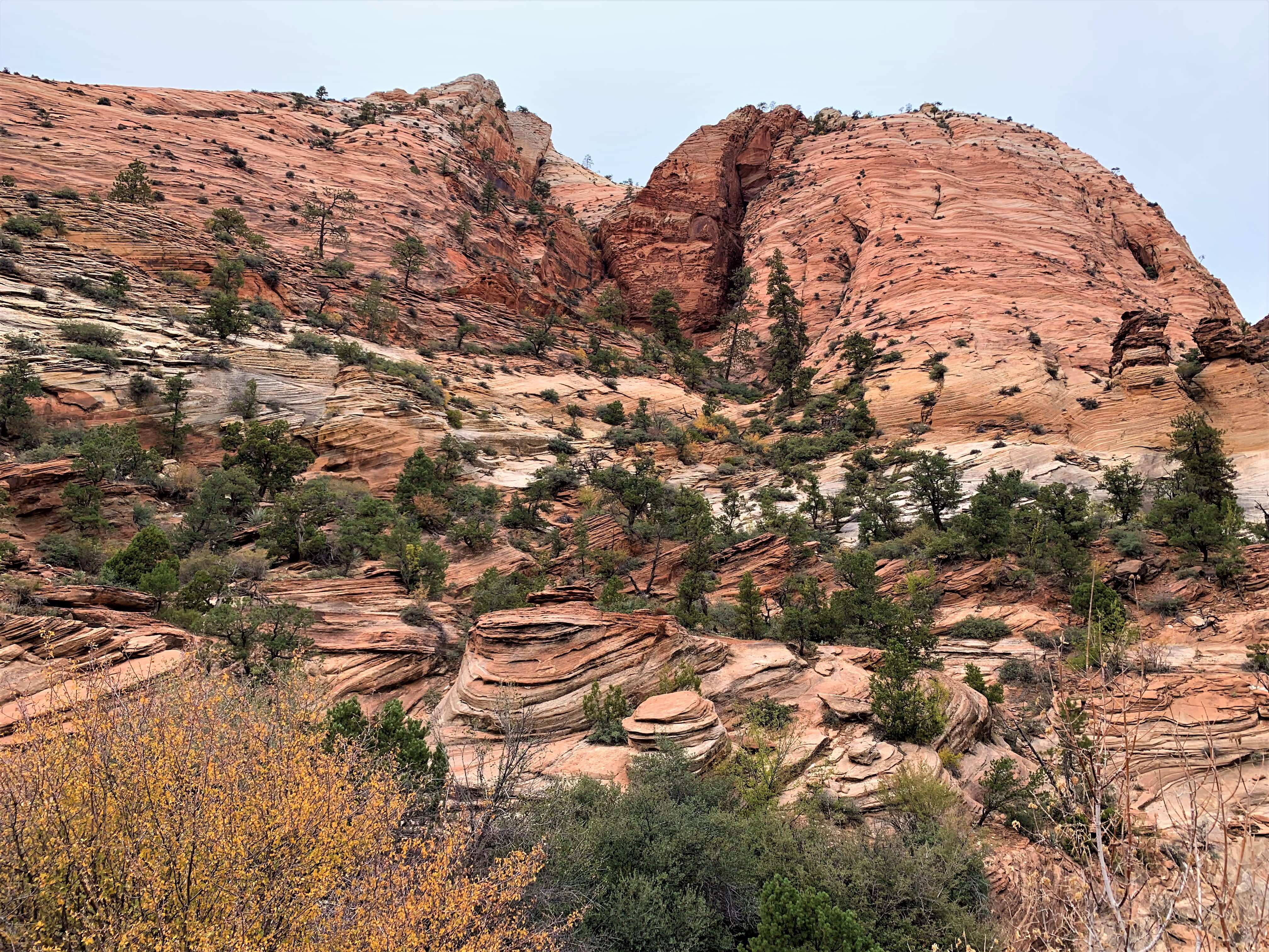 Zion NP